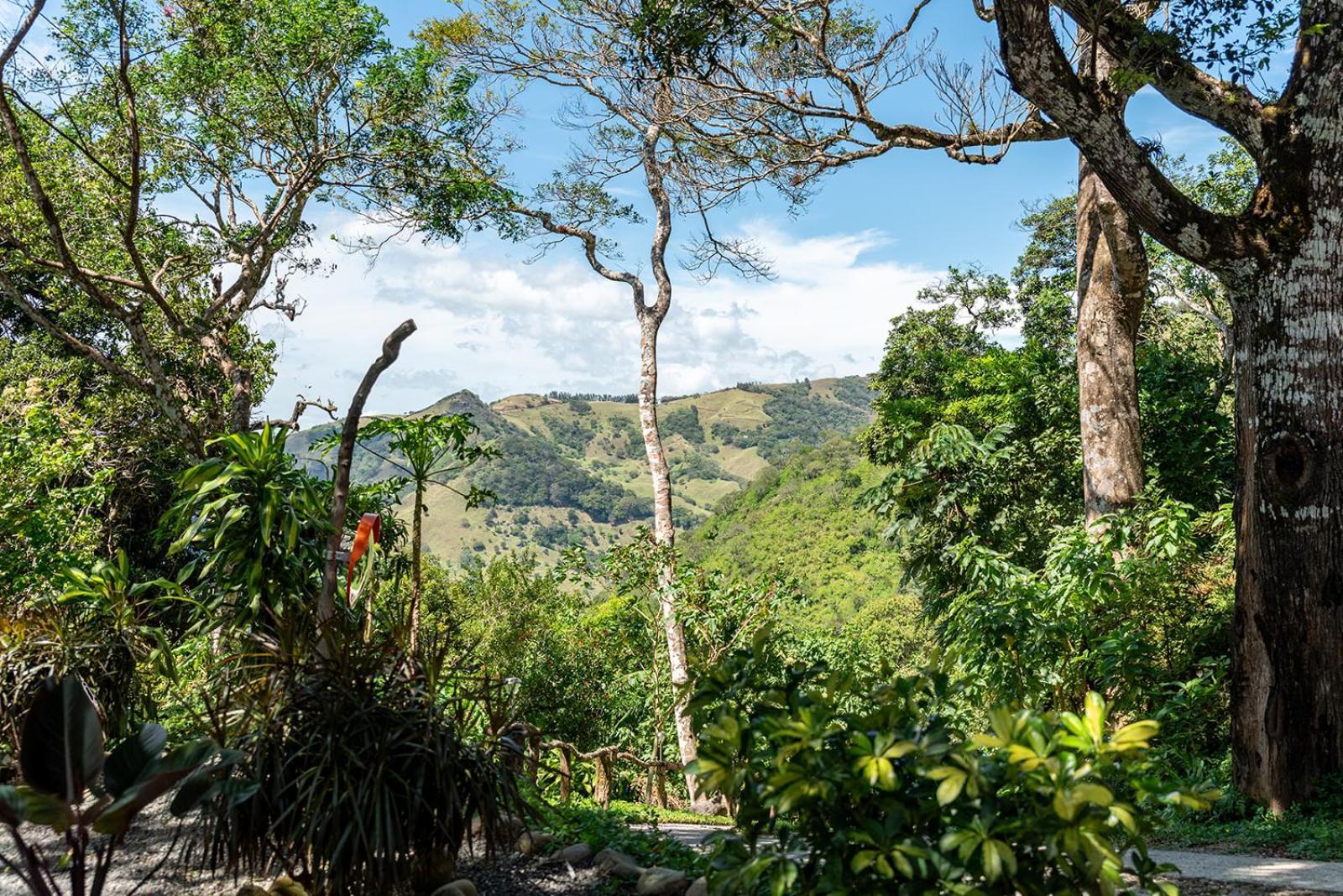Finca Sunset Monteverde Екстер'єр фото